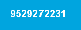 9529272231 9529272231