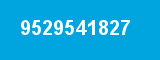 9529541827