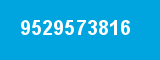 9529573816