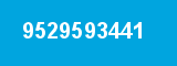 9529593441 9529593441