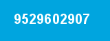 9529602907 9529602907