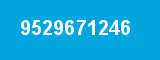 9529671246 9529671246