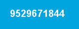 9529671844
