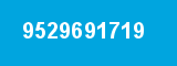 9529691719 9529691719