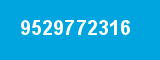 9529772316