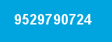 9529790724 9529790724