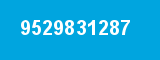 9529831287