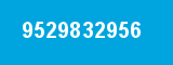 9529832956 9529832956