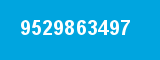 9529863497 9529863497