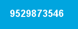 9529873546