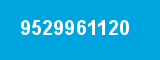 9529961120