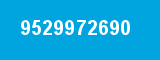 9529972690
