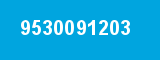 9530091203 9530091203