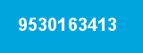 9530163413