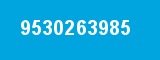 9530263985