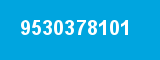9530378101 9530378101