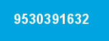 9530391632 9530391632