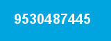 9530487445