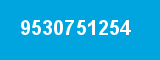 9530751254