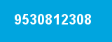 9530812308 9530812308