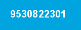 9530822301 9530822301
