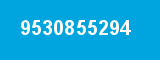 9530855294