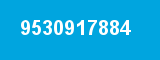 9530917884