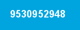 9530952948