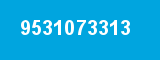 9531073313