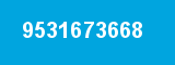 9531673668 9531673668