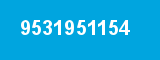 9531951154