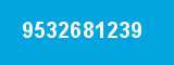 9532681239 9532681239