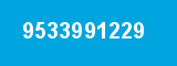 9533991229