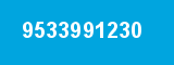 9533991230
