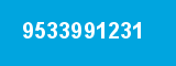 9533991231