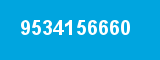 9534156660