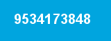 9534173848