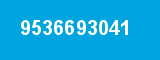 9536693041