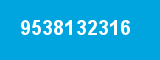 9538132316