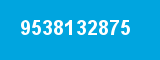9538132875
