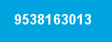 9538163013