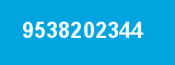 9538202344