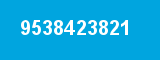 9538423821