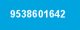 9538601642