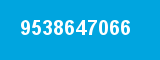 9538647066