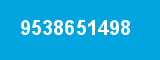 9538651498
