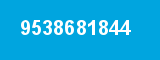 9538681844
