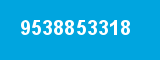 9538853318