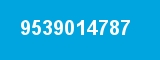 9539014787 9539014787
