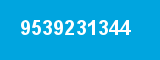 9539231344